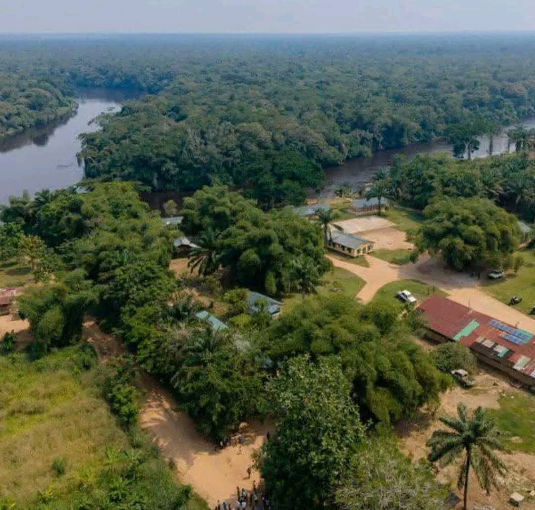 RDC-SOCIÉTÉ : À Tshuapa, des tensions signalées à Monkoto autour de l’exploitation forestière.